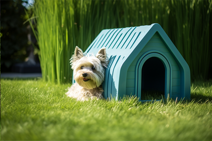 How to choose outdoor pet house?